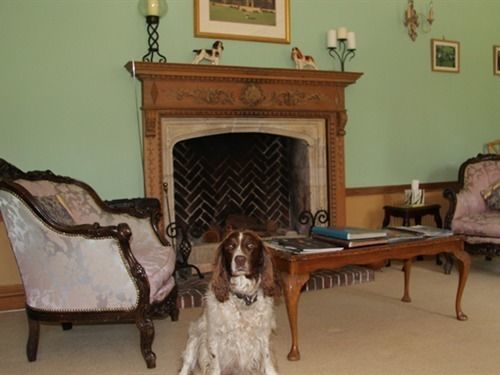 Somerton Court Country House Otel Dış mekan fotoğraf